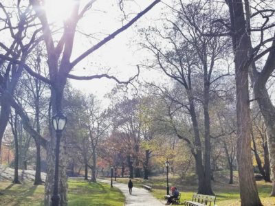 A sunny fall day in Central Park